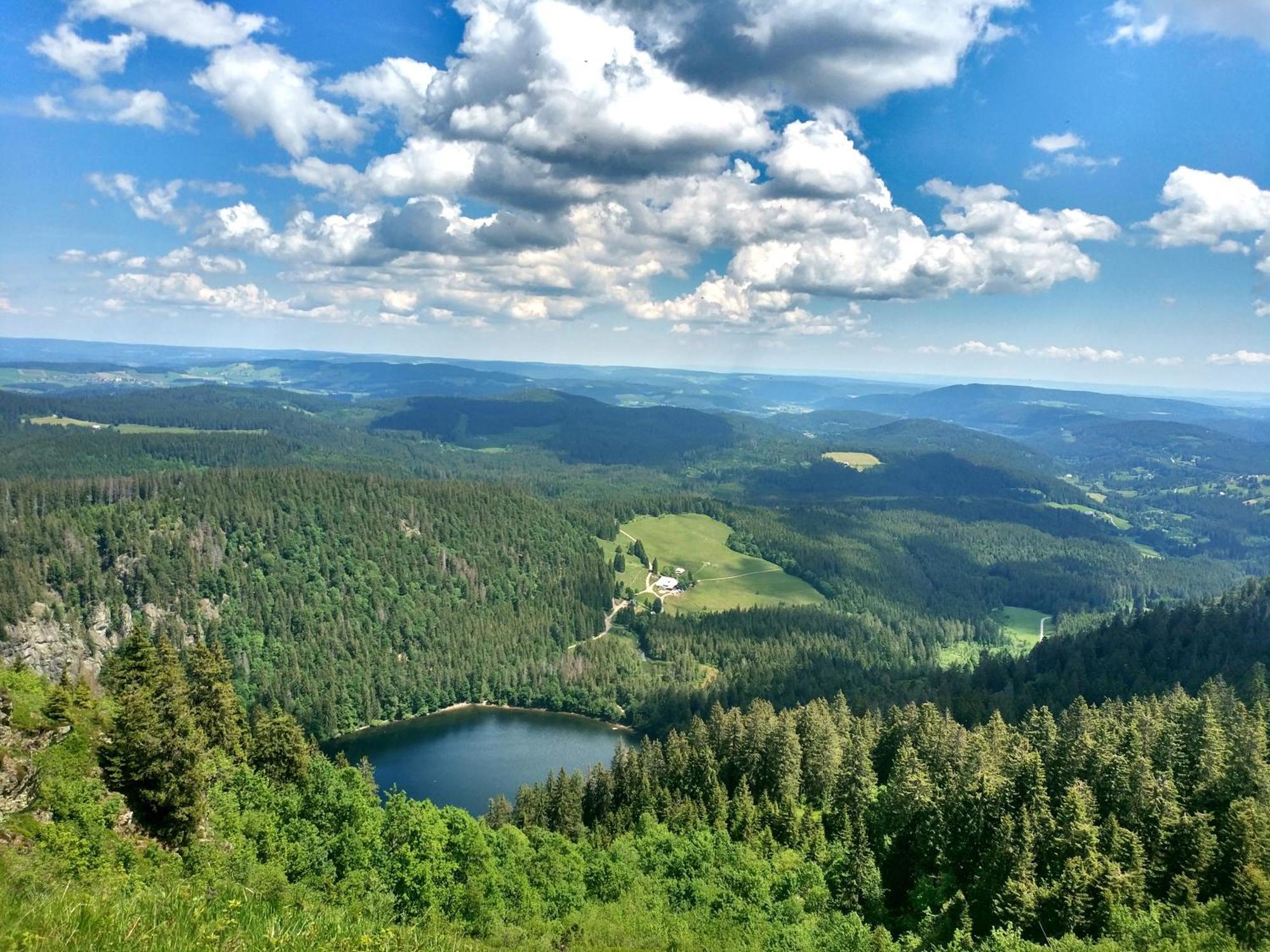 Ferienwohnung Seeblick Nr 2 5-Zimmerwohnung - Feldberg Baerental Rotwasser Exterior photo