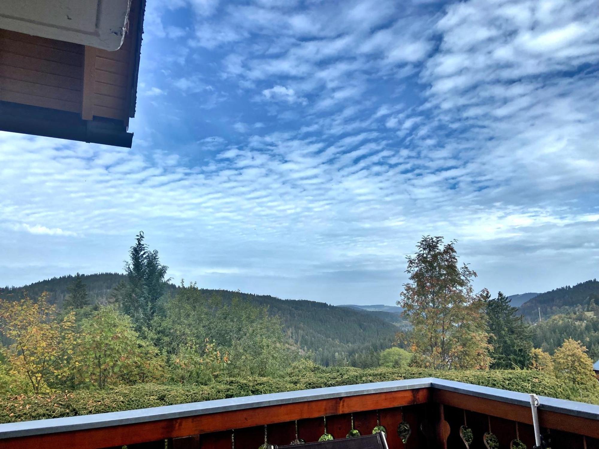 Ferienwohnung Seeblick Nr 2 5-Zimmerwohnung - Feldberg Baerental Rotwasser Exterior photo